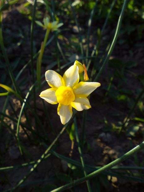  - curtea cu toate cele 2018