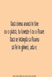  - Poze 3