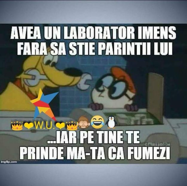  - Poze 3