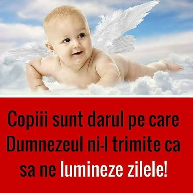  - Poze 3