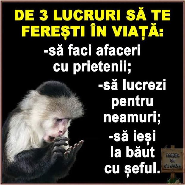  - Poze 3