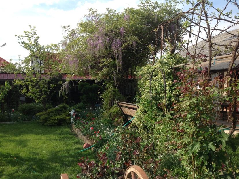  - Gradina feb 2018 un inceput de nou sezon