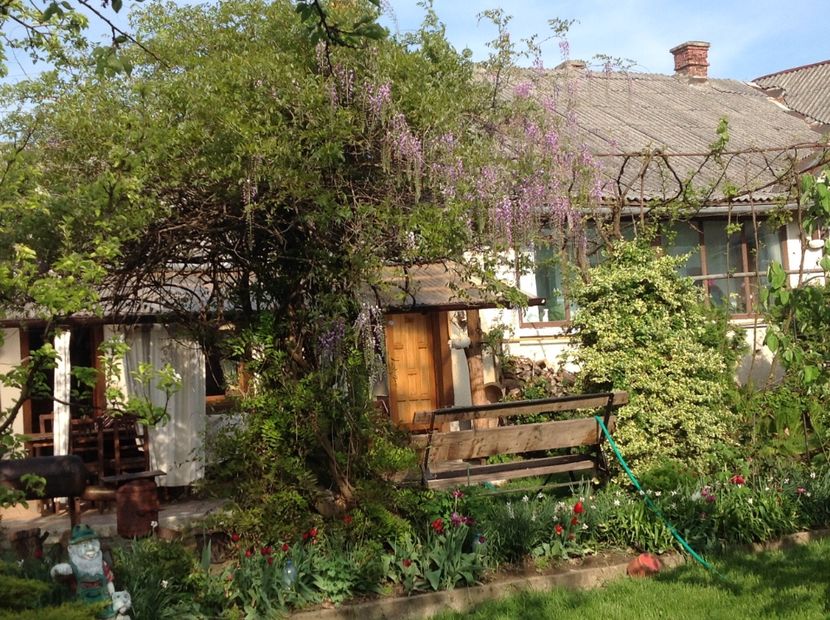  - Gradina feb 2018 un inceput de nou sezon