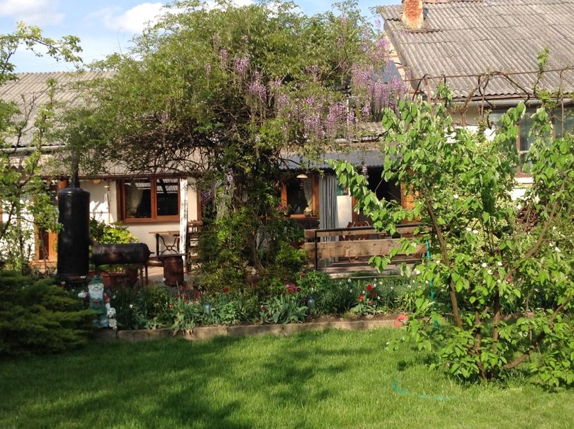  - Gradina feb 2018 un inceput de nou sezon