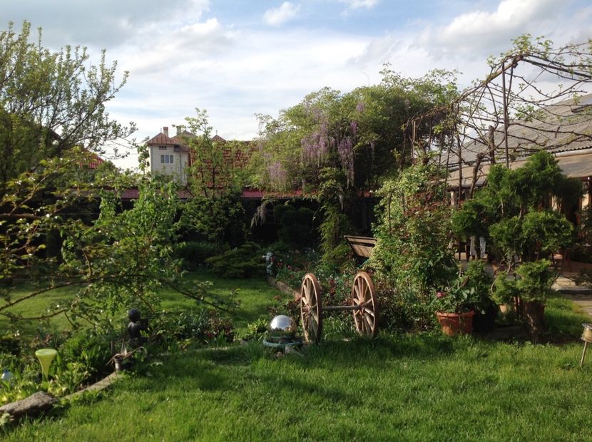  - Gradina feb 2018 un inceput de nou sezon