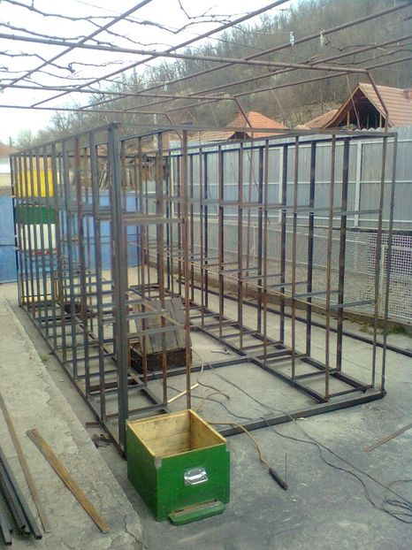 Imagine0087 - Pavilion apicol