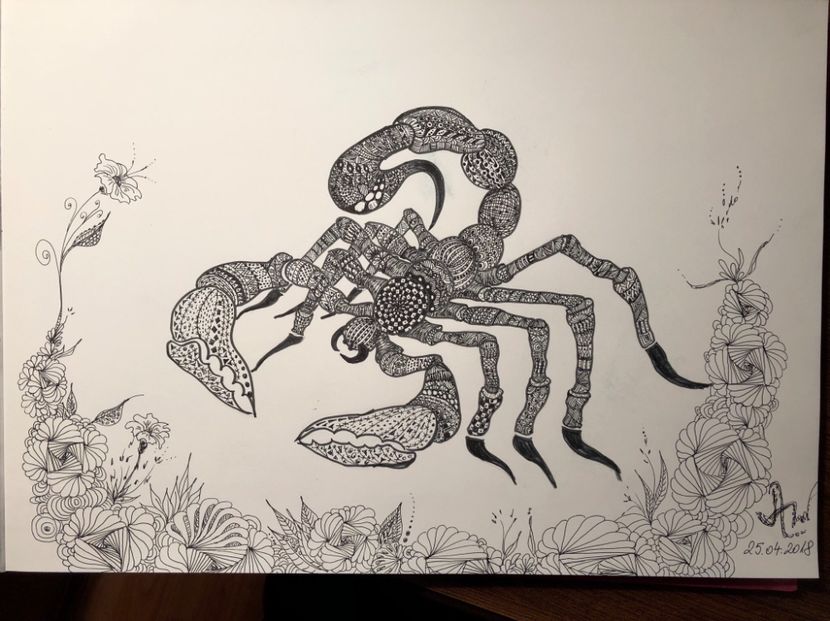 A3 Scorpion Mariana B - 0 DOODLE