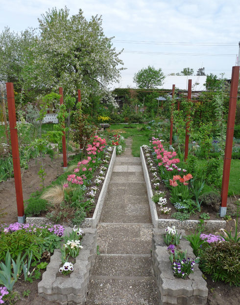  - 2018 - 01 - Primavara