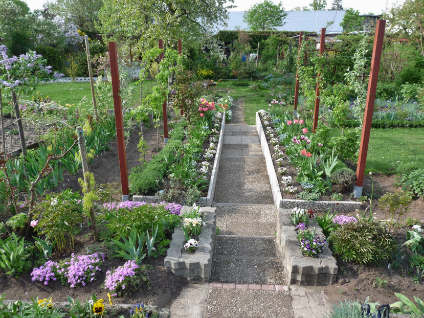  - 2018 - 01 - Primavara