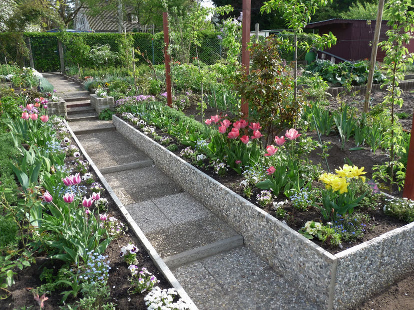  - 2018 - 01 - Primavara