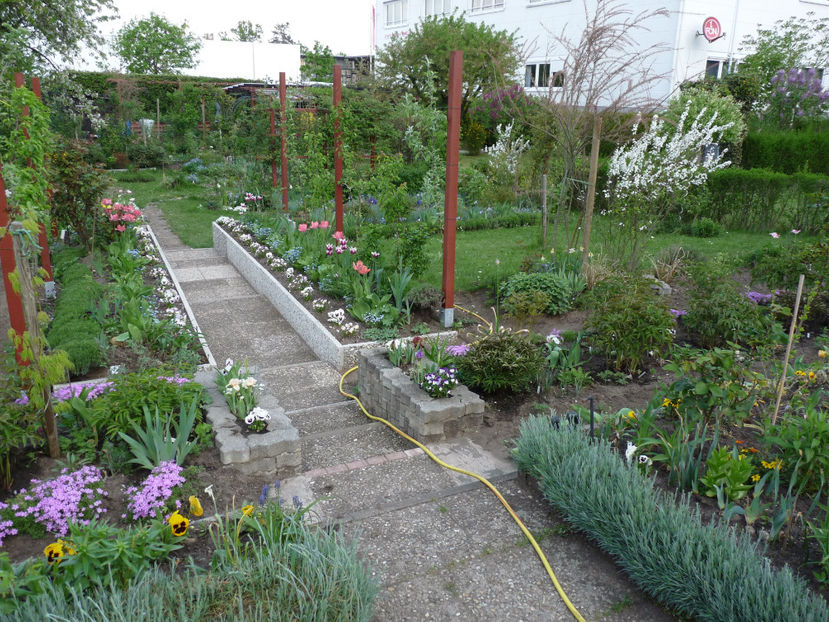  - 2018 - 01 - Primavara