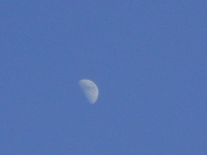Primul patrar in Leu - Luna - Soarele si norii - 1