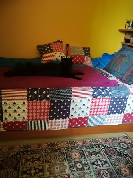 Figo - Bucuriile primaverii 2018