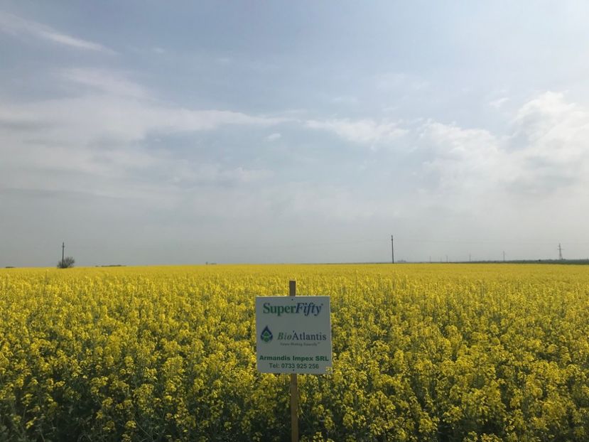 rapita 6 - 2018 - Rapita