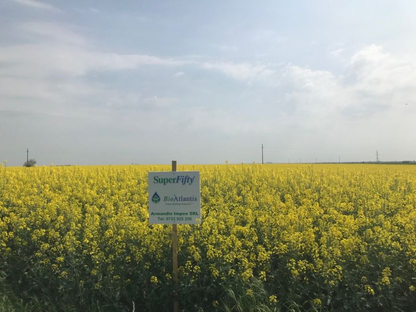 rapita 7 - 2018 - Rapita