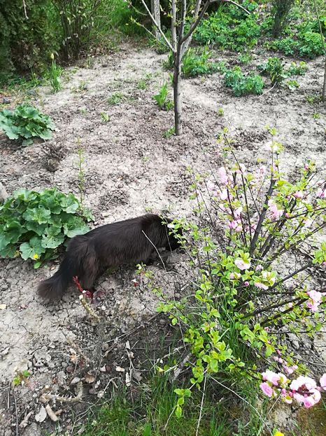  - Bucuriile primaverii 2018