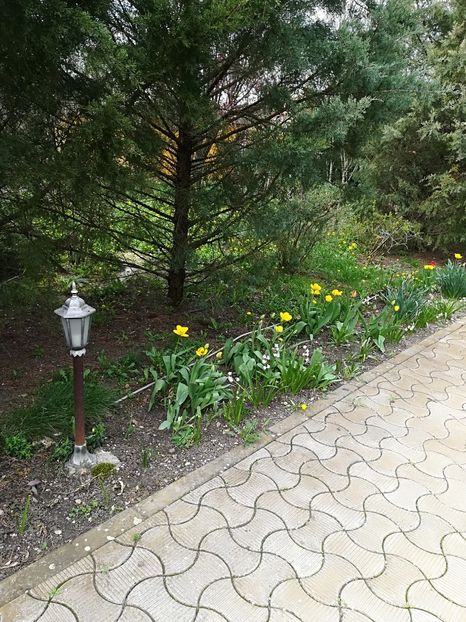  - Bucuriile primaverii 2018