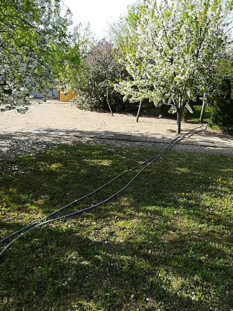  - Bucuriile primaverii 2018