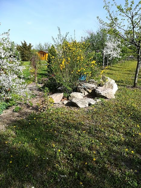  - Bucuriile primaverii 2018