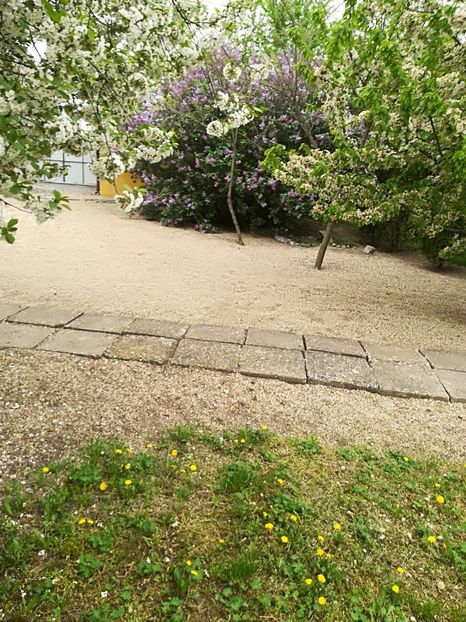  - Bucuriile primaverii 2018