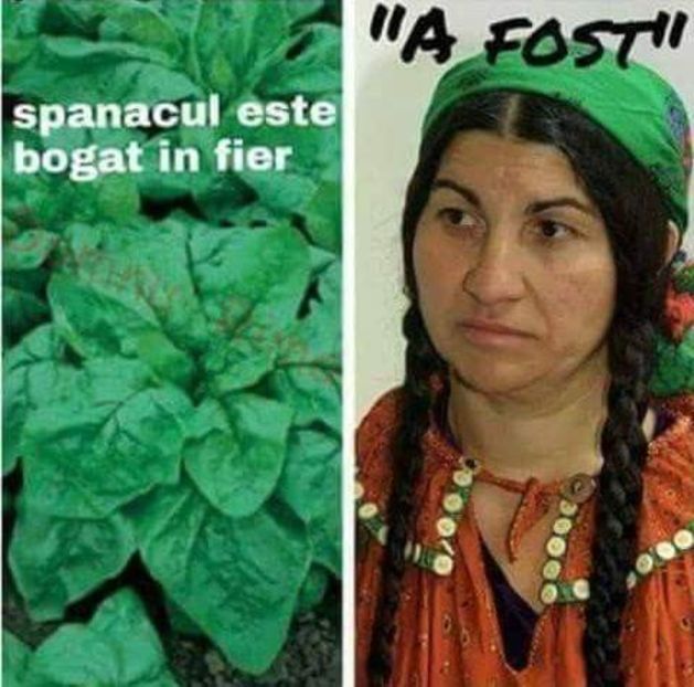 - Poze 4