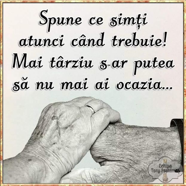  - Poze 4