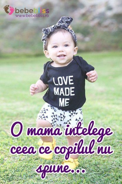  - Poze 4