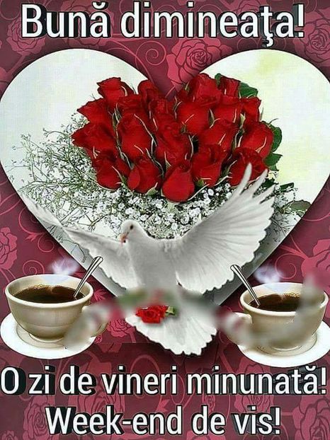  - Poze 4