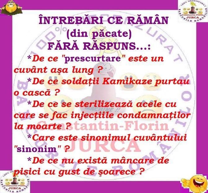  - Poze 4