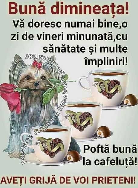  - Poze 4
