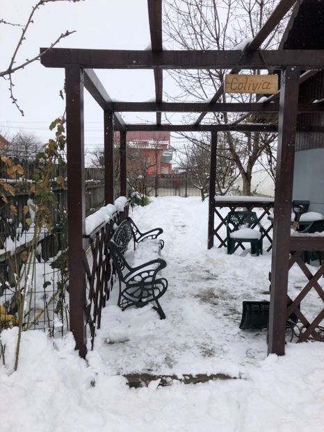 23.03.2018 - 0021 GRADINA IN 2018 2020