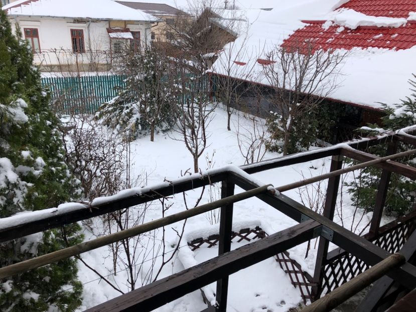 23.03.2018 - 0021 GRADINA IN 2018 2020