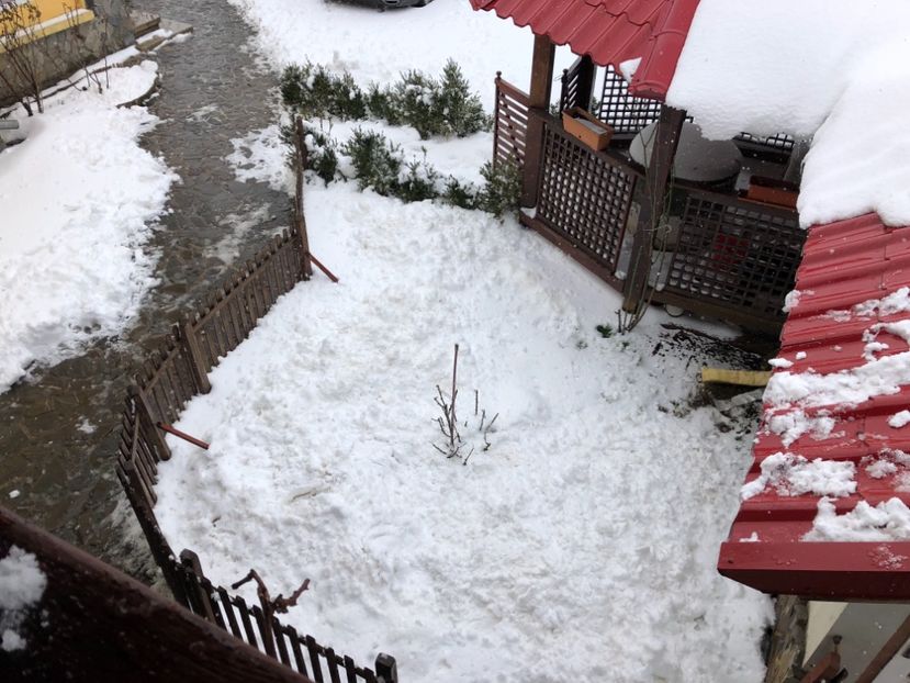 23.03.2018 - 0021 GRADINA IN 2018 2020