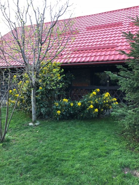 14 aprilie 2018 - 0021 GRADINA IN 2018 2020