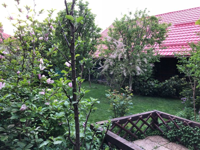 27.04.2018 - 0021 GRADINA IN 2018 2020