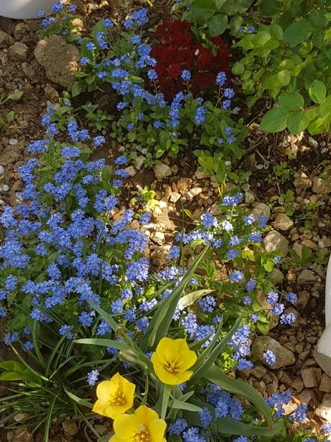  - Primavara in Romania