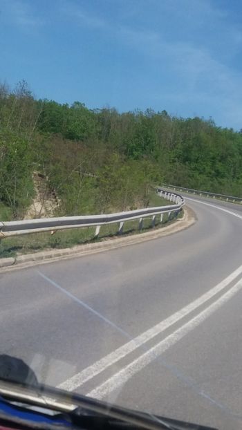  - pe camp si in padure