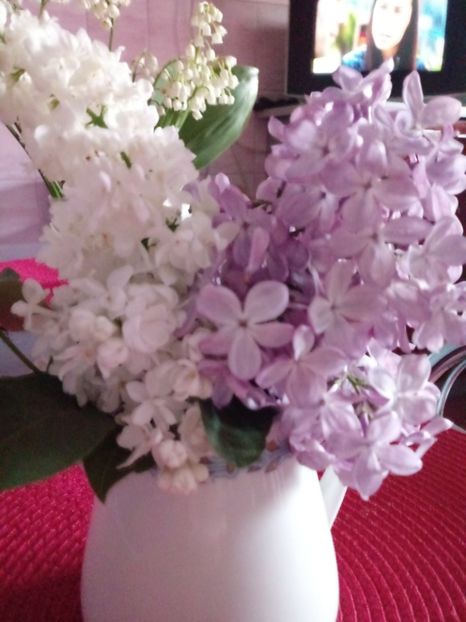 Mai 2018 liliac alb si mov si margaritar - Gradina mea