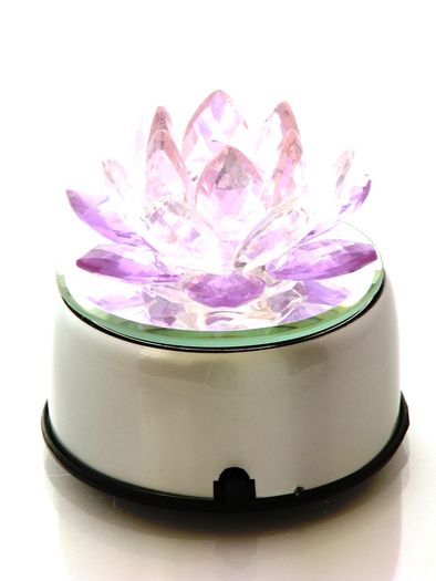 20090617131107_Floare Lotus 3 culori - Alb, Roz si Mov1