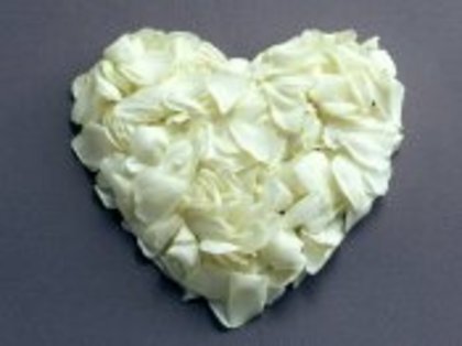 inima_din_petale_albe-t1