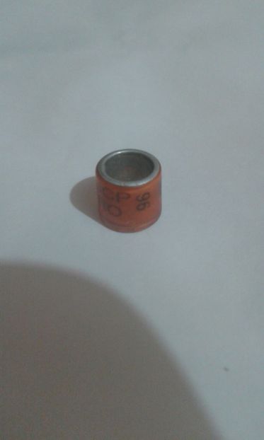 Ro 96 ucp - Colectie inele de Romania