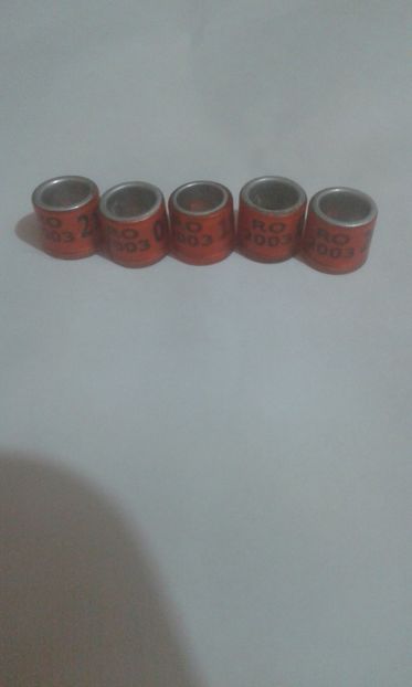 Ro 2003 - Colectie inele de Romania