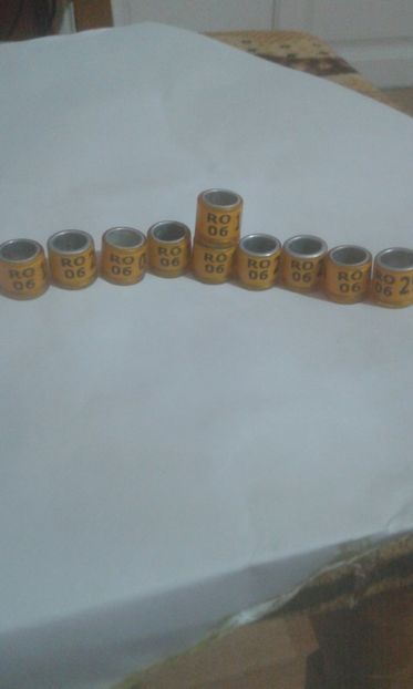 Ro 06 - Colectie inele de Romania