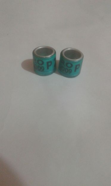 Ro 2009 P verde - Colectie inele de Romania