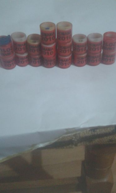 Ro 2010 - Colectie inele de Romania