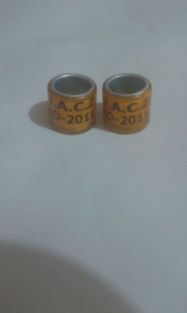 Ro 2011 uacz - Colectie inele de Romania