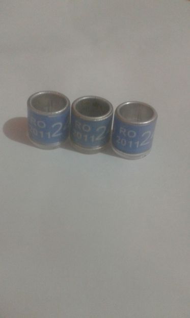 Ro 2011 - Colectie inele de Romania
