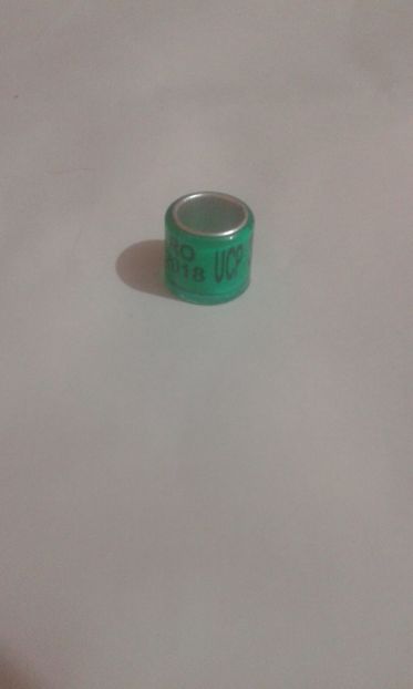 2018 ucp - Colectie inele de Romania