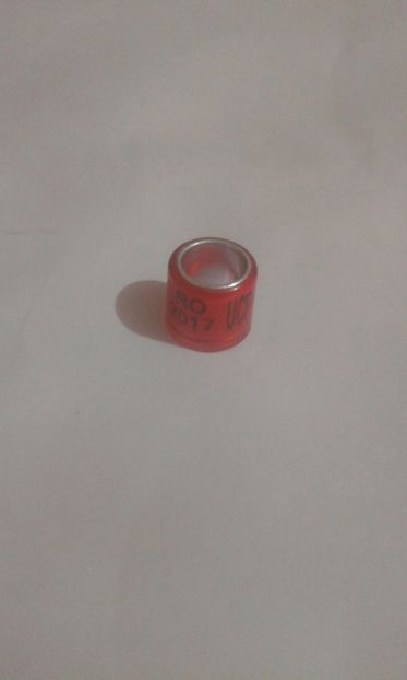 2017 ucp - Colectie inele de Romania