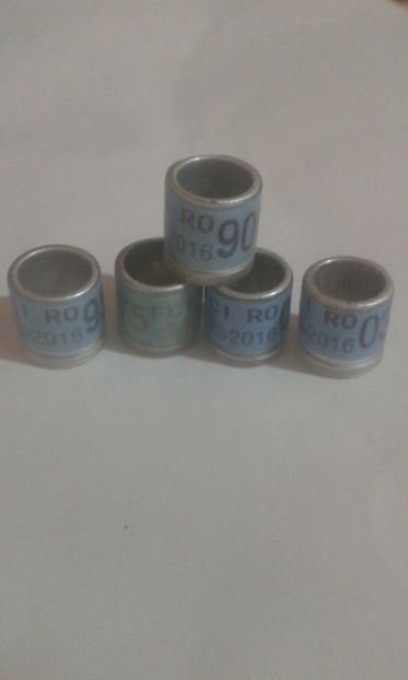 Fci 2016 - Colectie inele de Romania